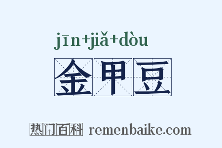金甲豆是什么意思的图片